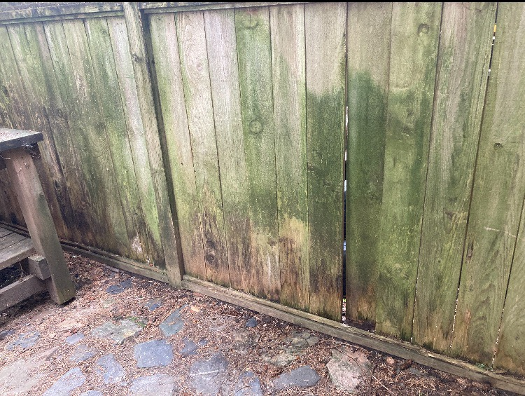 Home exterior before repainting